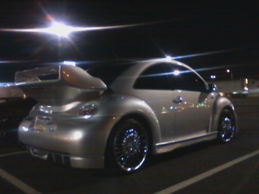 Name:  phillybeetle.jpg
Views: 153
Size:  47.2 KB