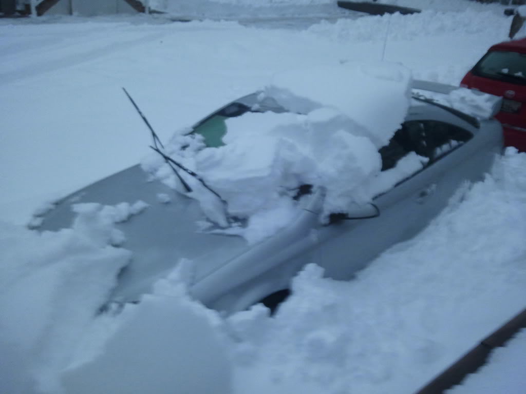 Name:  20100-1.jpg
Views: 134
Size:  45.6 KB