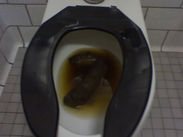 Name:  poop-1.jpg
Views: 61
Size:  19.2 KB
