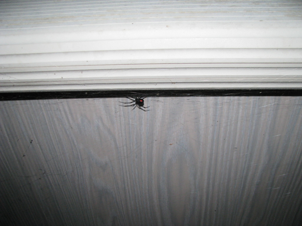 Name:  6a400236.jpg
Views: 64
Size:  153.9 KB