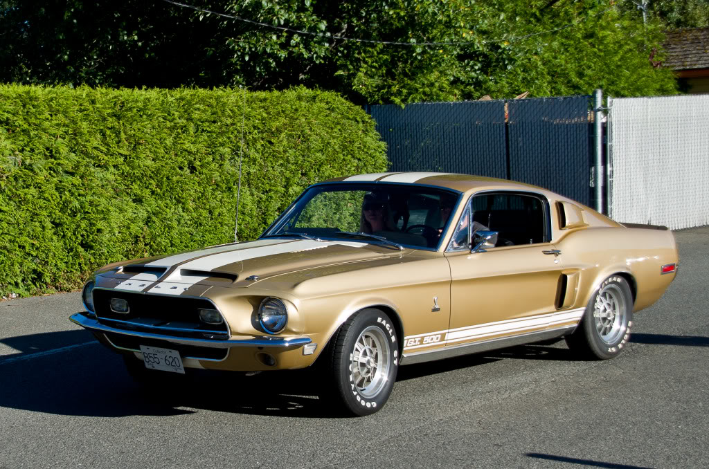 Name: DSC_1515.jpg
Views: 49
Size: 240.0 KB