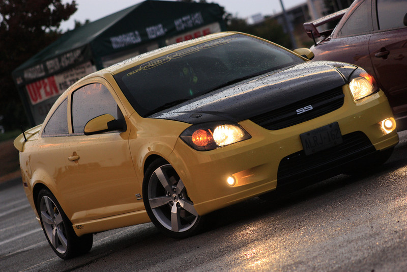 Name:  MG0704-L.jpg
Views: 43
Size:  134.7 KB