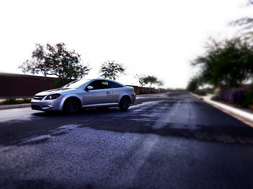 Name:  100_0213.jpg
Views: 19
Size:  144.7 KB