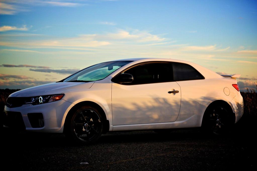 Name:  forte6.jpg
Views: 68
Size:  56.0 KB