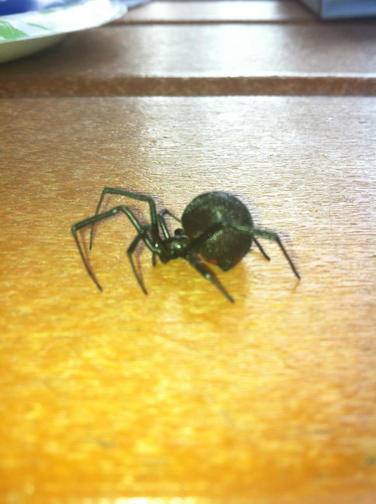 Name:  Dwdvb.jpg
Views: 14
Size:  80.2 KB