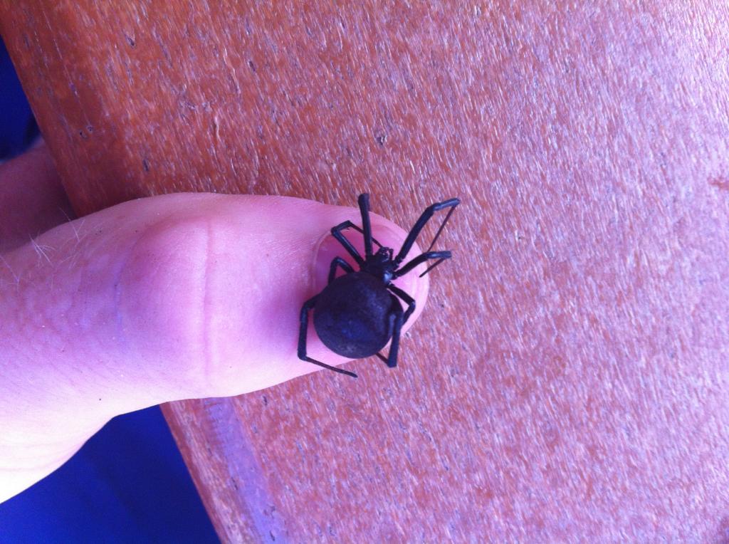 Name:  8Ig4s.jpg
Views: 14
Size:  122.8 KB