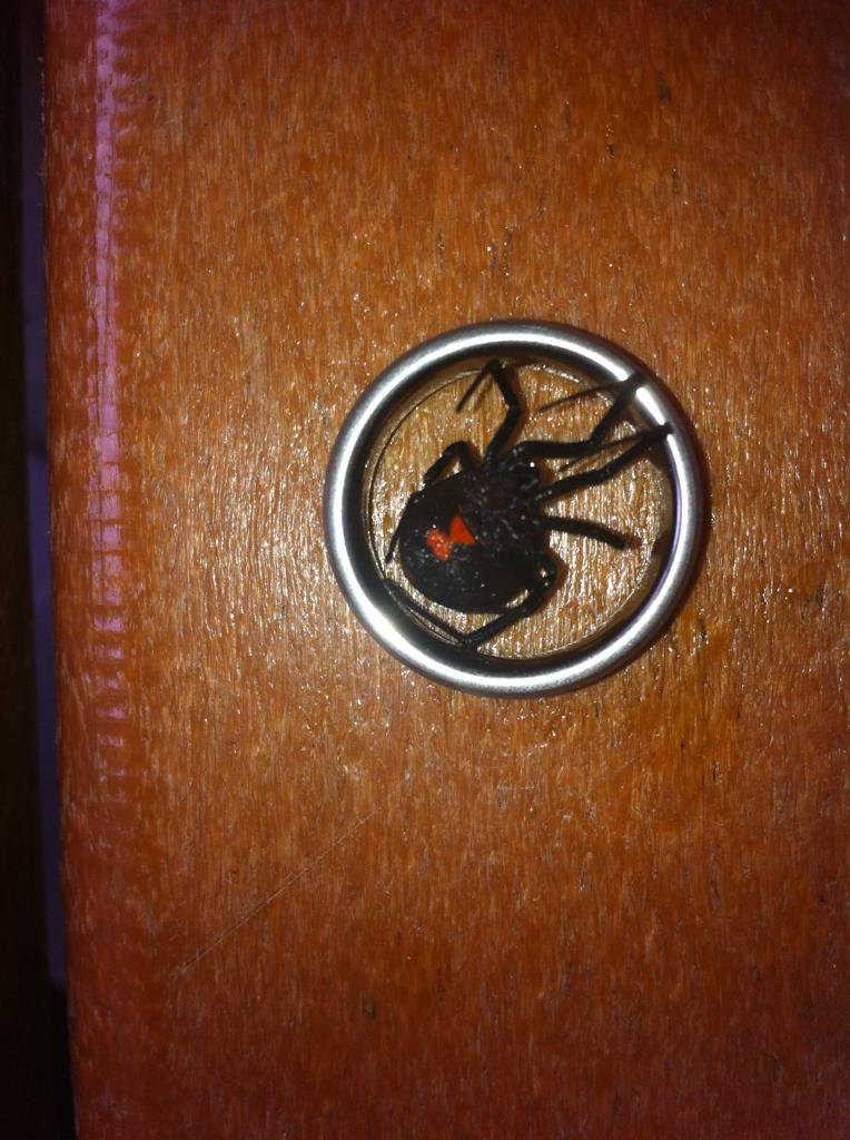 Name:  1JvkL.jpg
Views: 12
Size:  112.4 KB