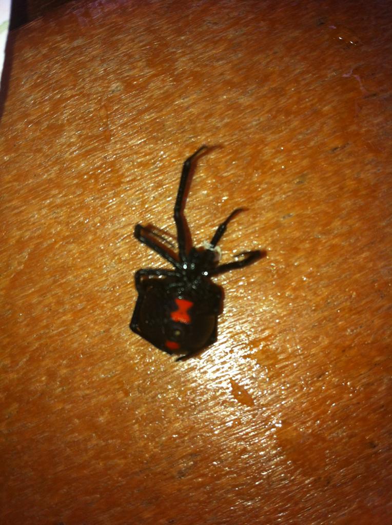 Name:  JVYPy.jpg
Views: 12
Size:  122.2 KB