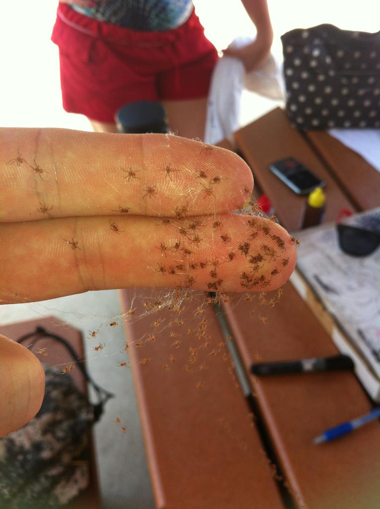 Name:  Fk6PD.jpg
Views: 12
Size:  69.5 KB