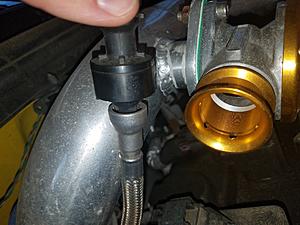 20180628_201135.jpg