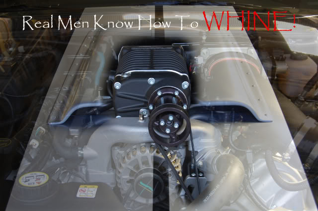 Name:  WhippleWhine.jpg
Views: 50
Size:  52.5 KB