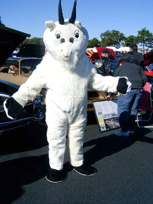 Name:  Goat10-27-01.jpg
Views: 26
Size:  102.9 KB