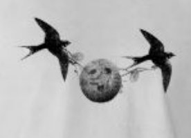 Name: migrating_coconut_tee_shirt-rdeeb6e67f31f4c87a3267bb45fa01e43_f0czj_75.jpg
Views: 27
Size: 7.1 KB