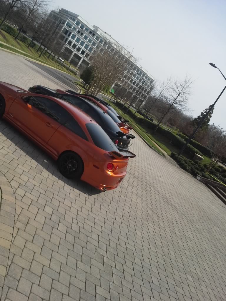 Name:  20140315_145934_zps19eea132.jpg
Views: 28
Size:  154.2 KB