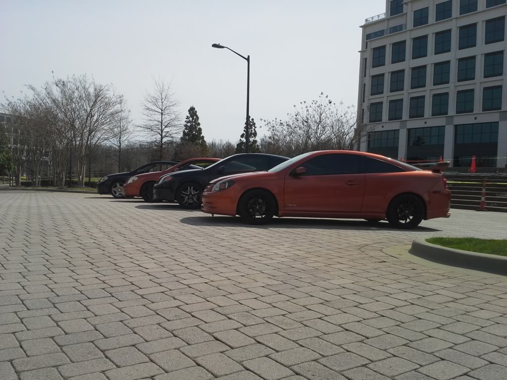 Name:  20140315_145616_zps5d8f5c00.jpg
Views: 43
Size:  157.1 KB