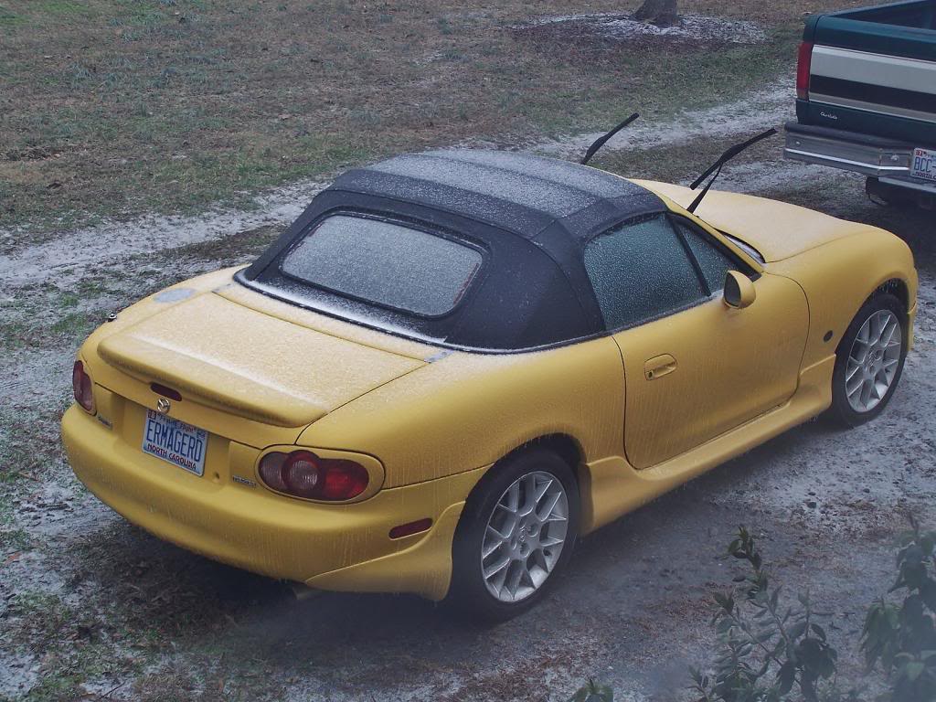 Name:  100_6399_zps069833dd.jpg
Views: 20
Size:  141.7 KB