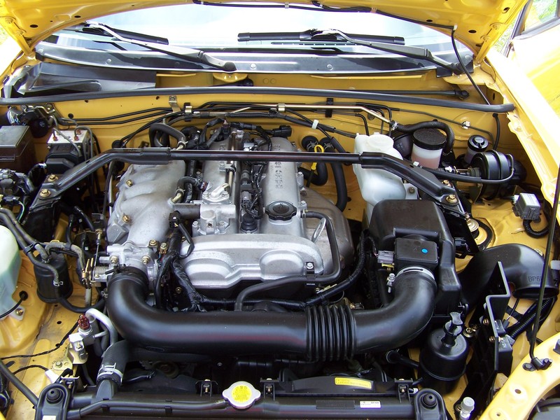 Name:  100_6254.jpg
Views: 73
Size:  172.8 KB