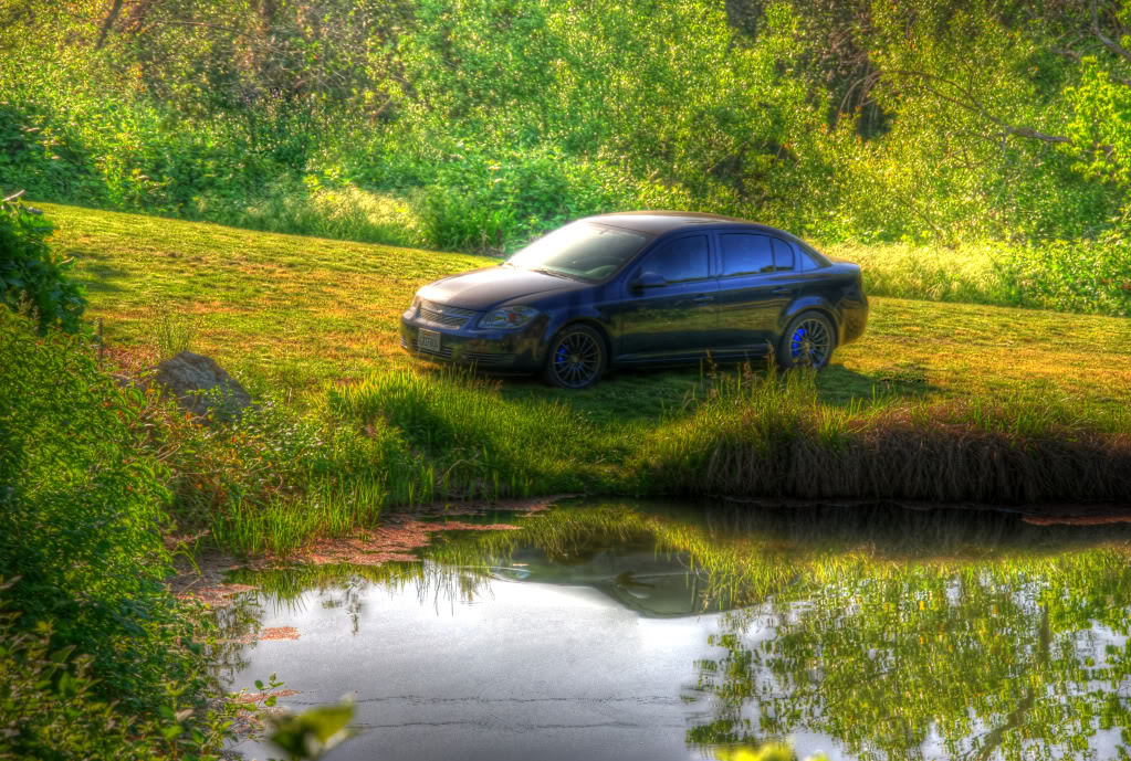 Name: DSC_3855PS_zps5b123c50.jpg
Views: 61
Size: 268.1 KB