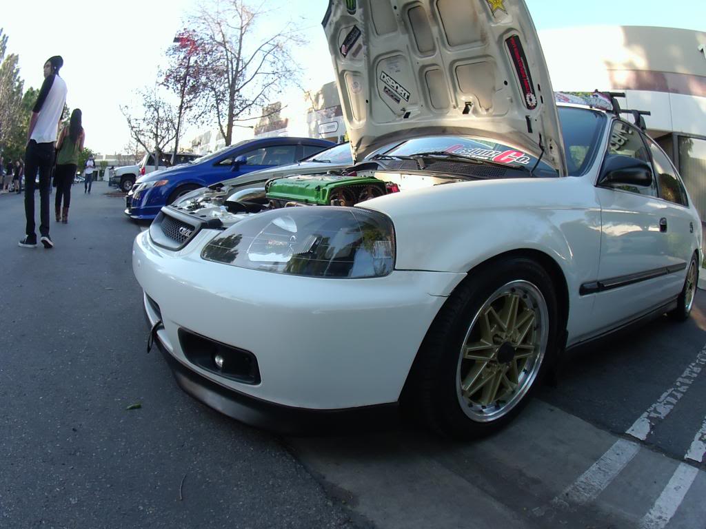 Name:  PICT0049.jpg
Views: 24
Size:  101.3 KB