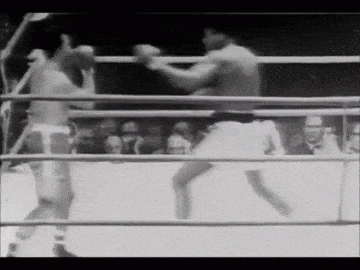 Name: Jxi3IFX.gif
Views: 4
Size: 1.48 MB
