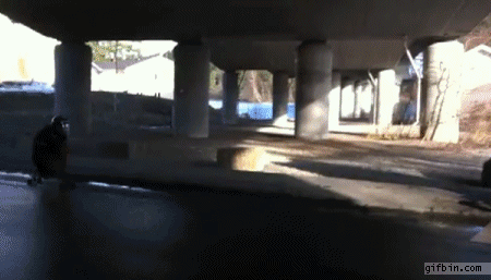 Name:  SMEpnna.gif
Views: 5
Size:  3.35 MB