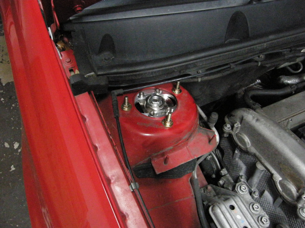 Name:  P8110241.jpg
Views: 629
Size:  237.8 KB