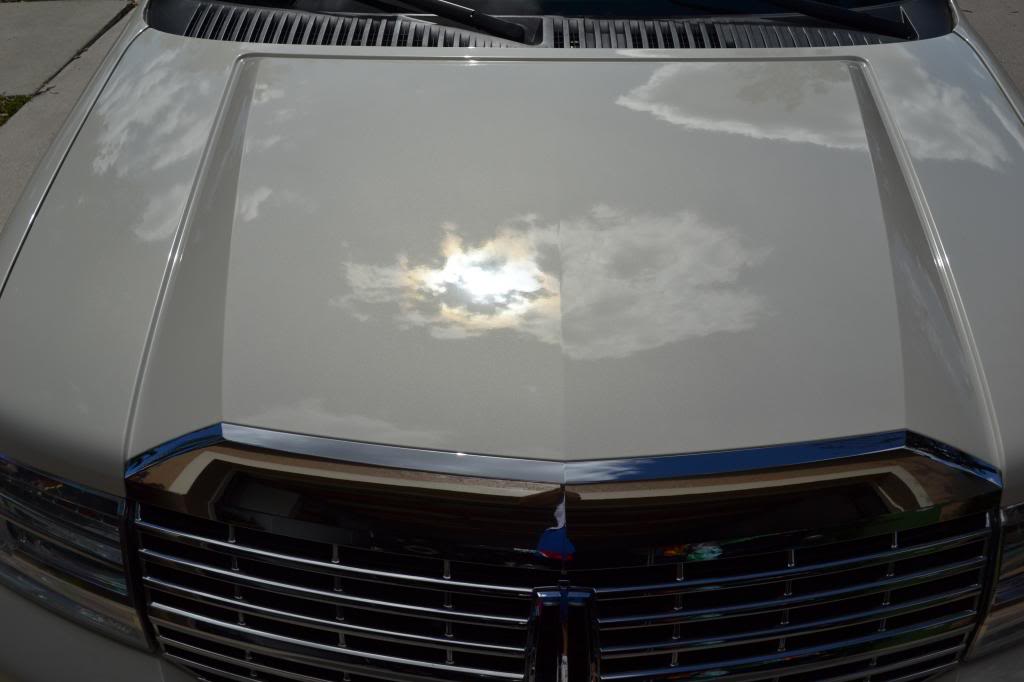 Name:  DSC_6958_zpsa72ce618.jpg
Views: 20
Size:  55.8 KB