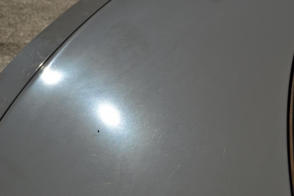 Name:  DSC_6295_zps0db406f6.jpg
Views: 33
Size:  31.0 KB