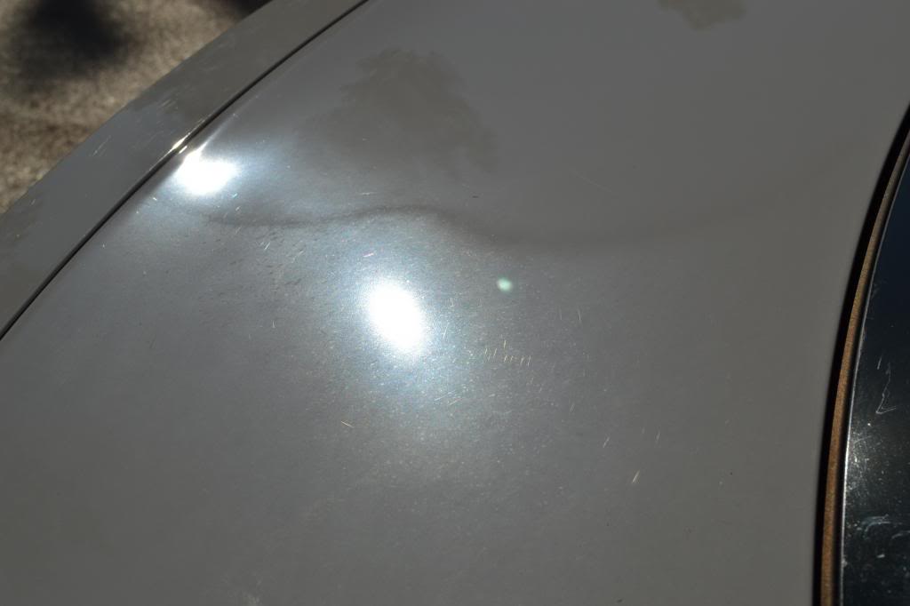 Name:  DSC_6317_zps17b65a59.jpg
Views: 32
Size:  32.1 KB