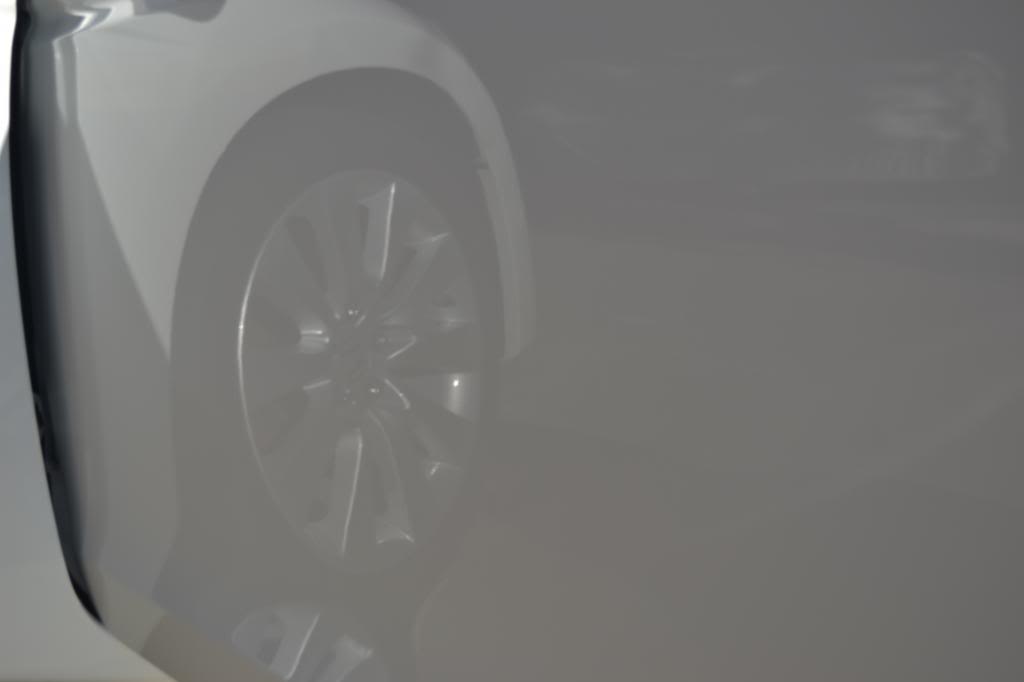 Name:  DSC_6321_zpsd215c71e.jpg
Views: 25
Size:  13.3 KB