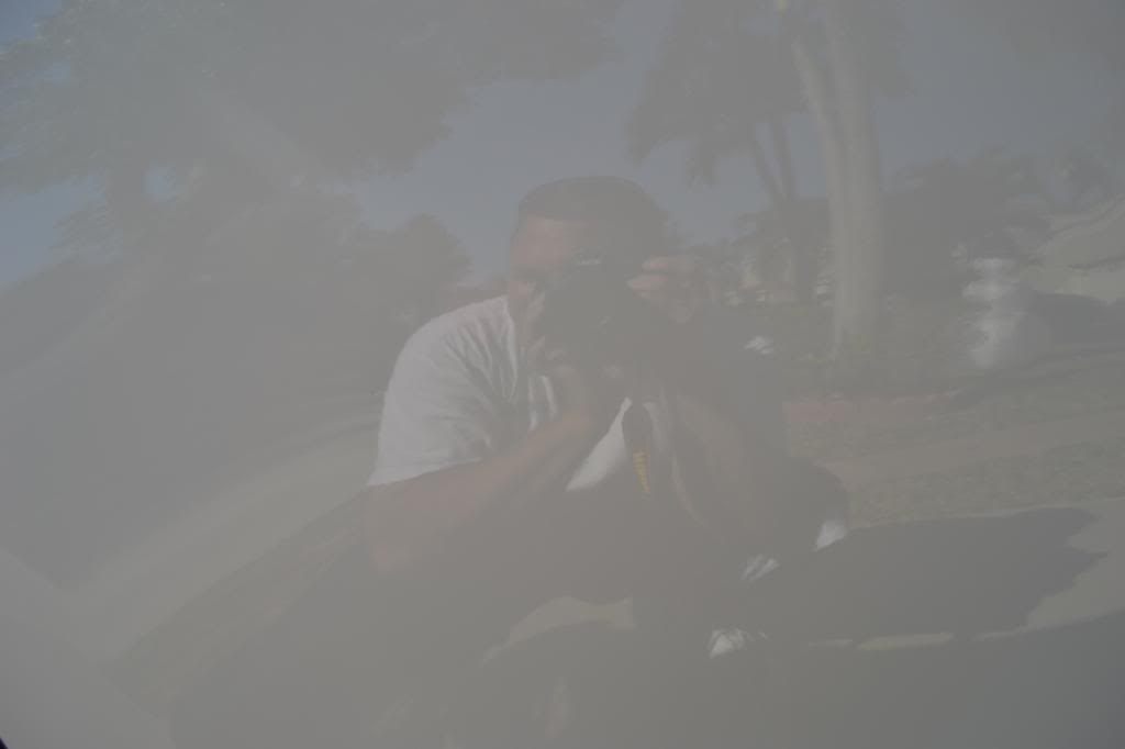 Name:  DSC_6301_zpse91fe626.jpg
Views: 22
Size:  11.4 KB