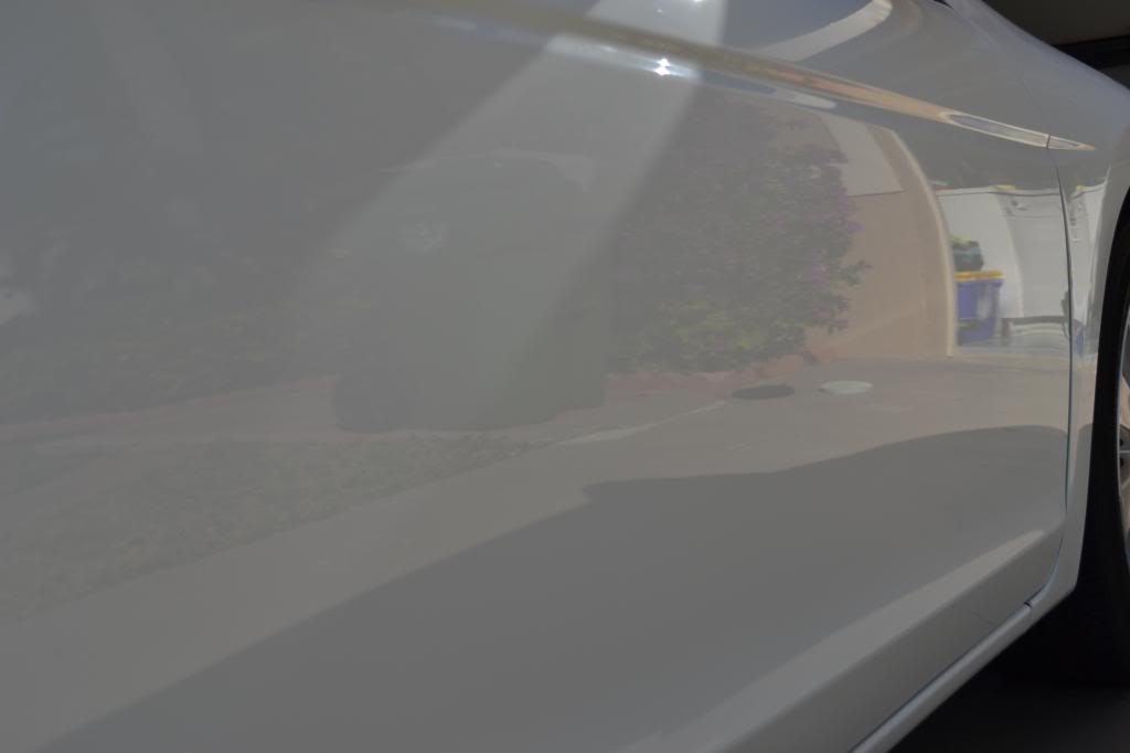 Name:  DSC_6306_zpsb4c58d05.jpg
Views: 24
Size:  19.2 KB