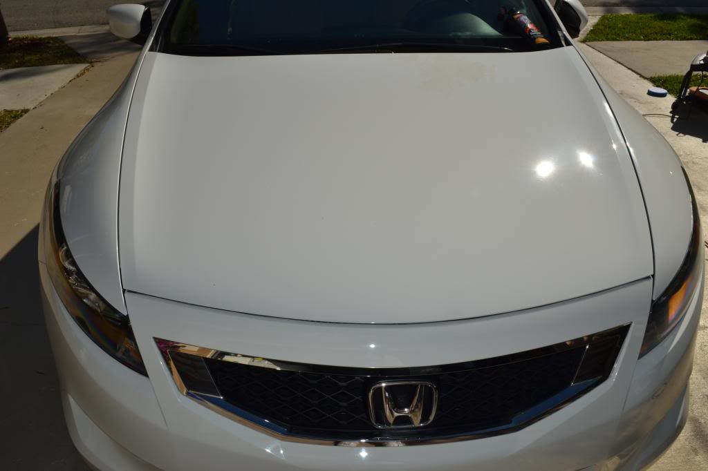 Name:  DSC_6290_zps7b929332.jpg
Views: 25
Size:  46.1 KB