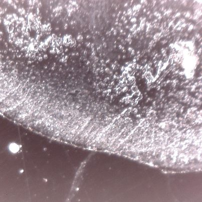 Name:  264807_459568010746540_1306814479_n.jpg
Views: 175
Size:  39.1 KB