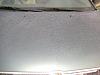 picture-063.jpg