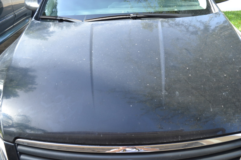 Name:  022-4.jpg
Views: 31
Size:  116.2 KB