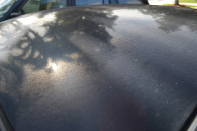 Name:  033-4.jpg
Views: 49
Size:  84.3 KB