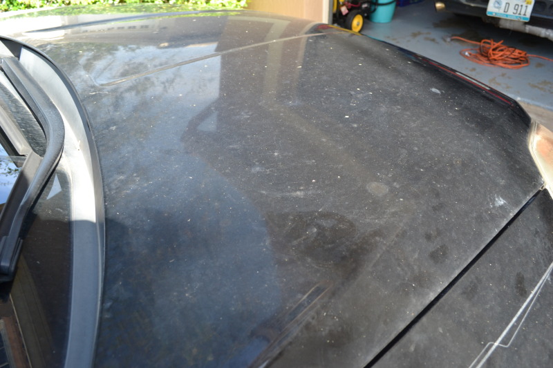 Name:  043-3.jpg
Views: 13
Size:  126.1 KB