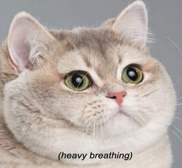 Name:  NUyttbnh.jpg
Views: 24
Size:  22.2 KB