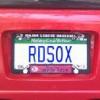 Sox-Fan's Avatar